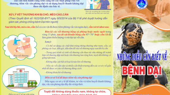 upload/1002842/20241121/NHUNG_DIEU_CAN_BIET_VE_BENH_DAI_1_4360bed2ce.png
