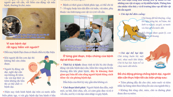 upload/1002842/20241121/NHUNG_DIEU_CAN_BIET_VE_BENH_DAI_2_b2350b205e.png