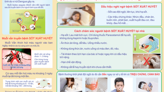 upload/1002842/20241121/TIM_VA_LOAI_BO_NOI_MUOI_VAN_DE_TRUNG_PC_SOT_XUAT_HUYET_2_4620902677.png