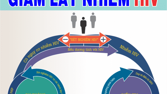 upload/1002842/20241128/PANO_PHONG_CHONG_HIV-AIDS_6_9d0bb3dae1.png