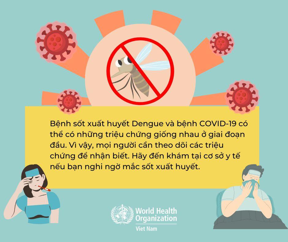 Sốt xuất huyết & COVID-19 - Những điều bạn nên biết - Ảnh 3.
