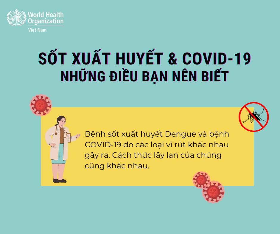 Sốt xuất huyết & COVID-19 - Những điều bạn nên biết - Ảnh 1.